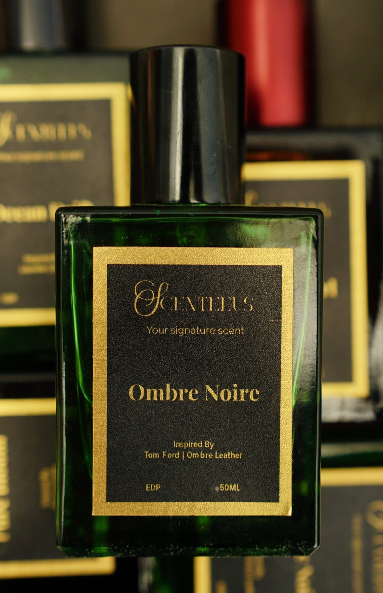 Ombre Noir - Image 2